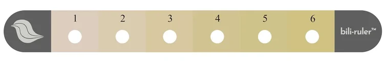 Bili Ruler Little Sparrows Technologies