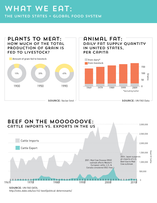 Food Infographic