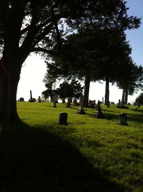 grave 2014 15.jpg