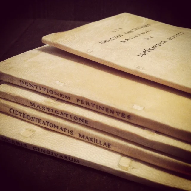 Five dental tracts from the 1700s, bound in limp vellum to look period appropriate.