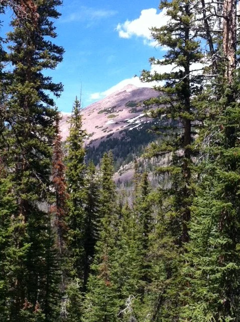 Wy 15 2014.jpg