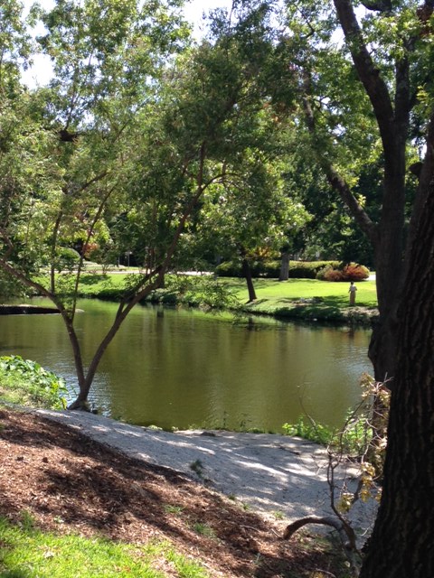 Parkday Aug 3 2014.jpg