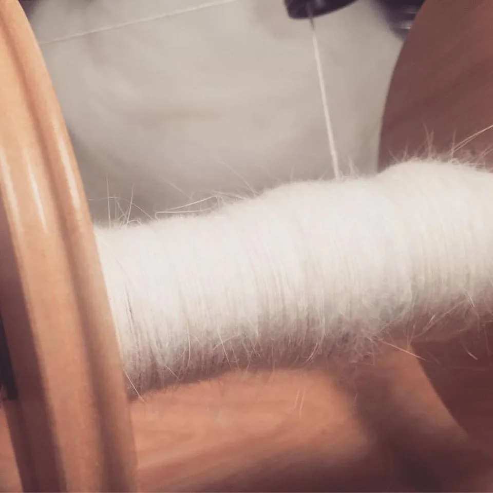 Angora spin.jpg
