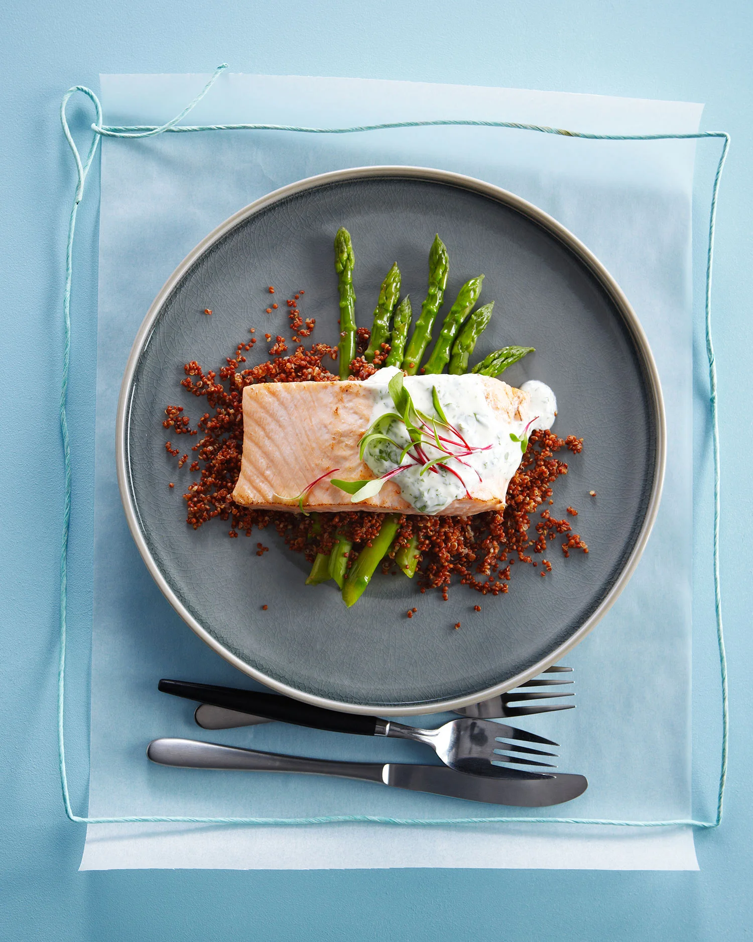 Salmon-and-Red-Quinoa-on-Asparagus6116-1.jpg