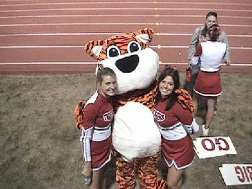 Tiger up!