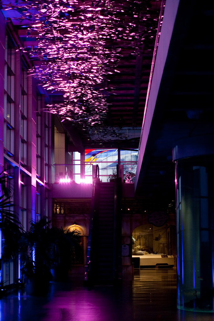 20130907-IMG_9314.jpg