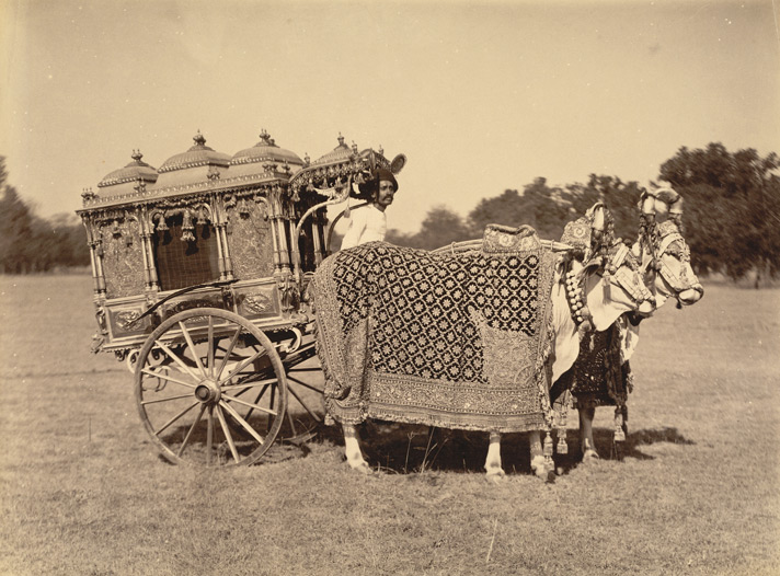 Silver zenana carriage at Baroda, Gujarat from the Curzon Collection, 1890s.Photographer unknown. The enclosed carriage ensured the seclusion of female members of the royal household when travelling. The lavishly decorated two-wheeled carriage is drawn by caparisoned bullocks and belonged to Gaekwar Sayaji Rao III (ruled 1875-1939), 12th Maharaja of Baroda. He owned a collection of exotic transport, which also included golden carriages and a miniature carriage drawn by deer.
