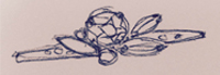  Sketch #3