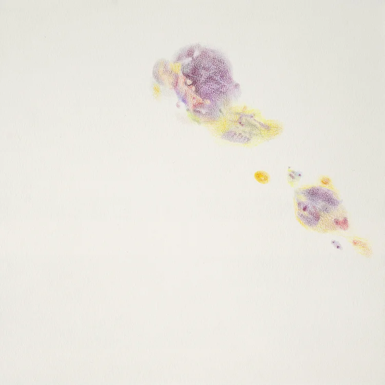 bruise-16.jpg