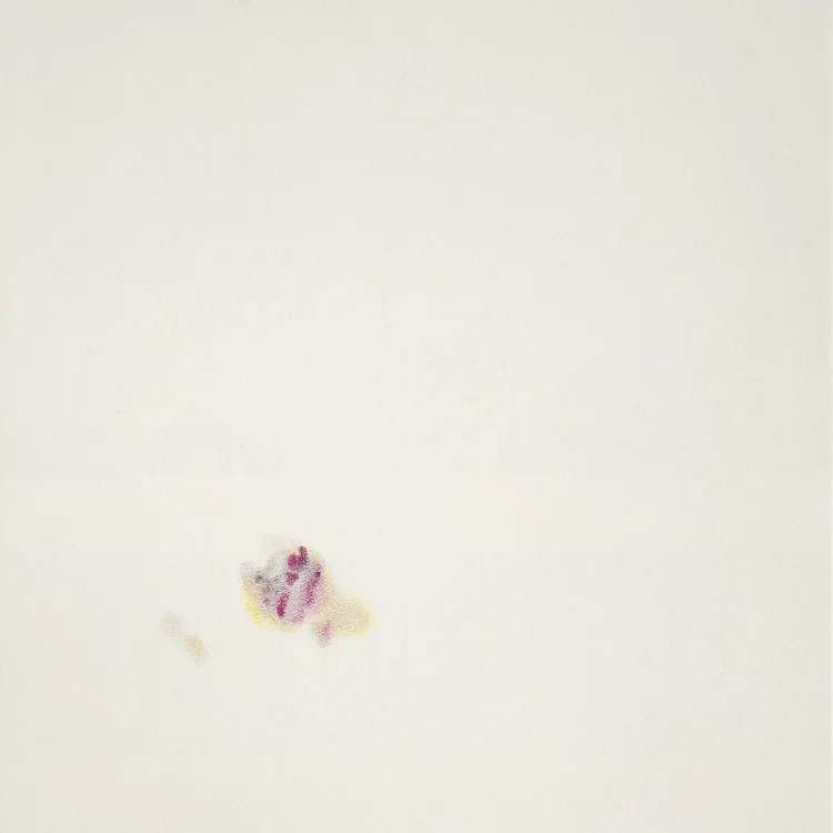 bruise-17.jpg
