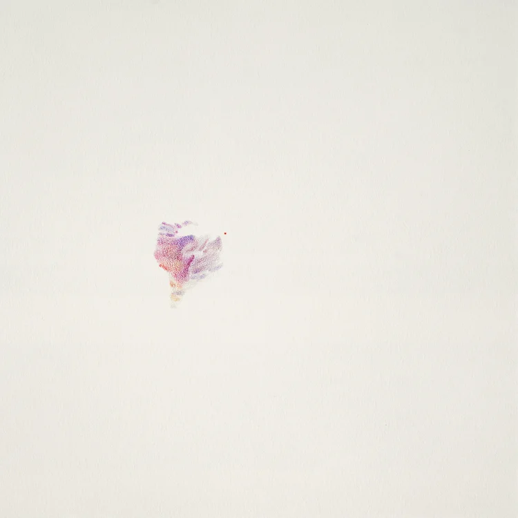 bruise-19.jpg