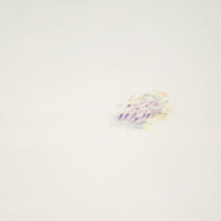 bruise-20.jpg