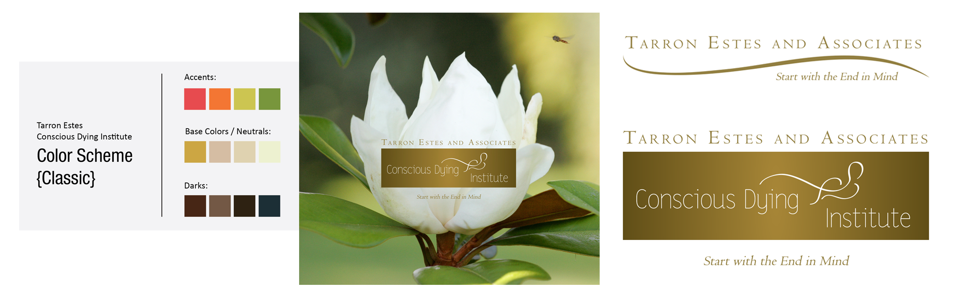 Conscious Dying Institute Logo and Branding
