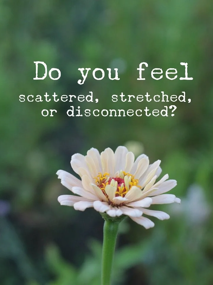 A little something special while you wait for the launch of this product and get a physical copy in your hands... I'm offering a free card reading sent to you as a recorded live video to your phone! Link in bio 🙌 

#kickstarterproject #selfcarestart