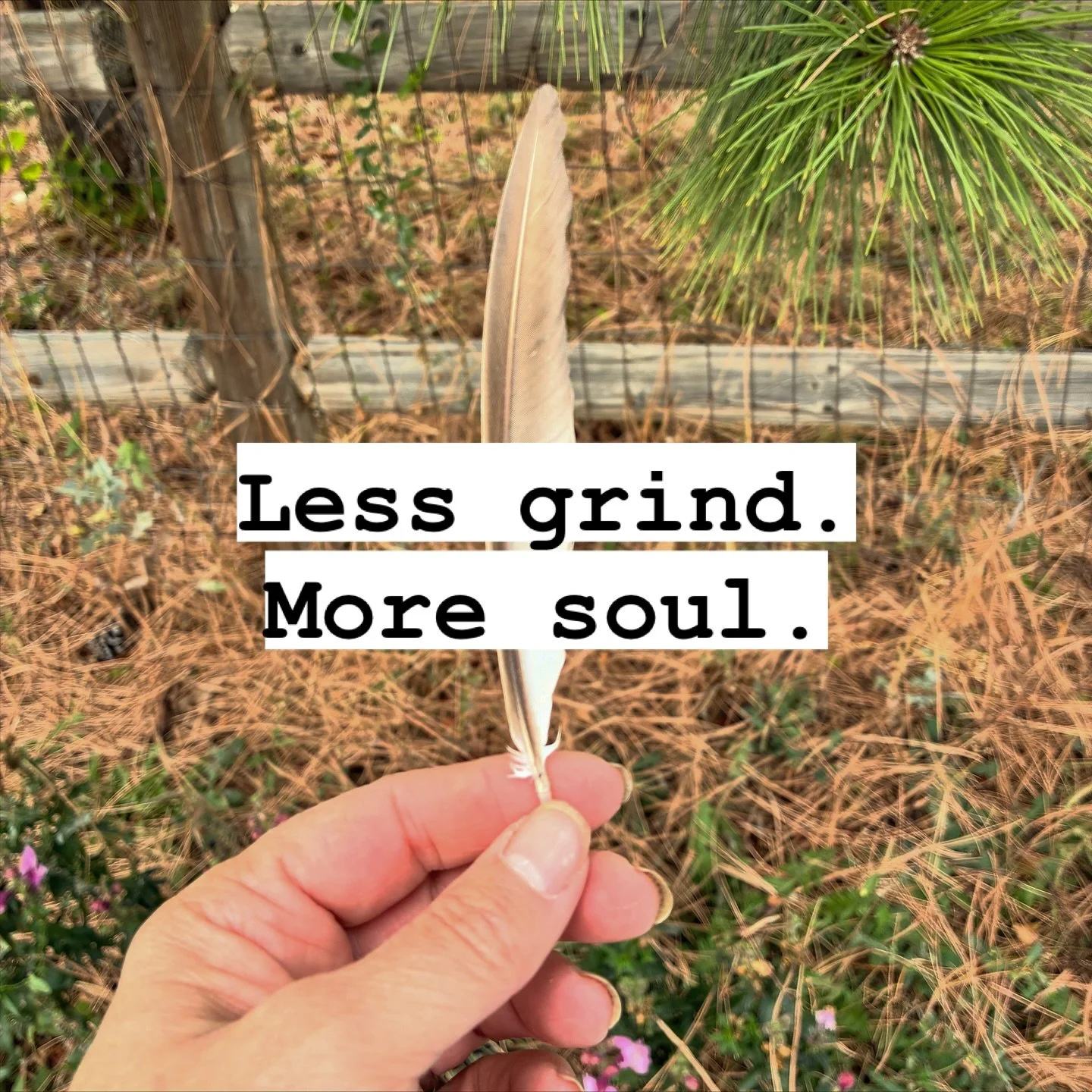 Get ready for more magic! Just a few weeks away from launching the 'aha' Moments of Blooming Kickstarter Campaign. Follow my IG page or get on my email list- link in bio, here: www.xseeddesign.com/aha