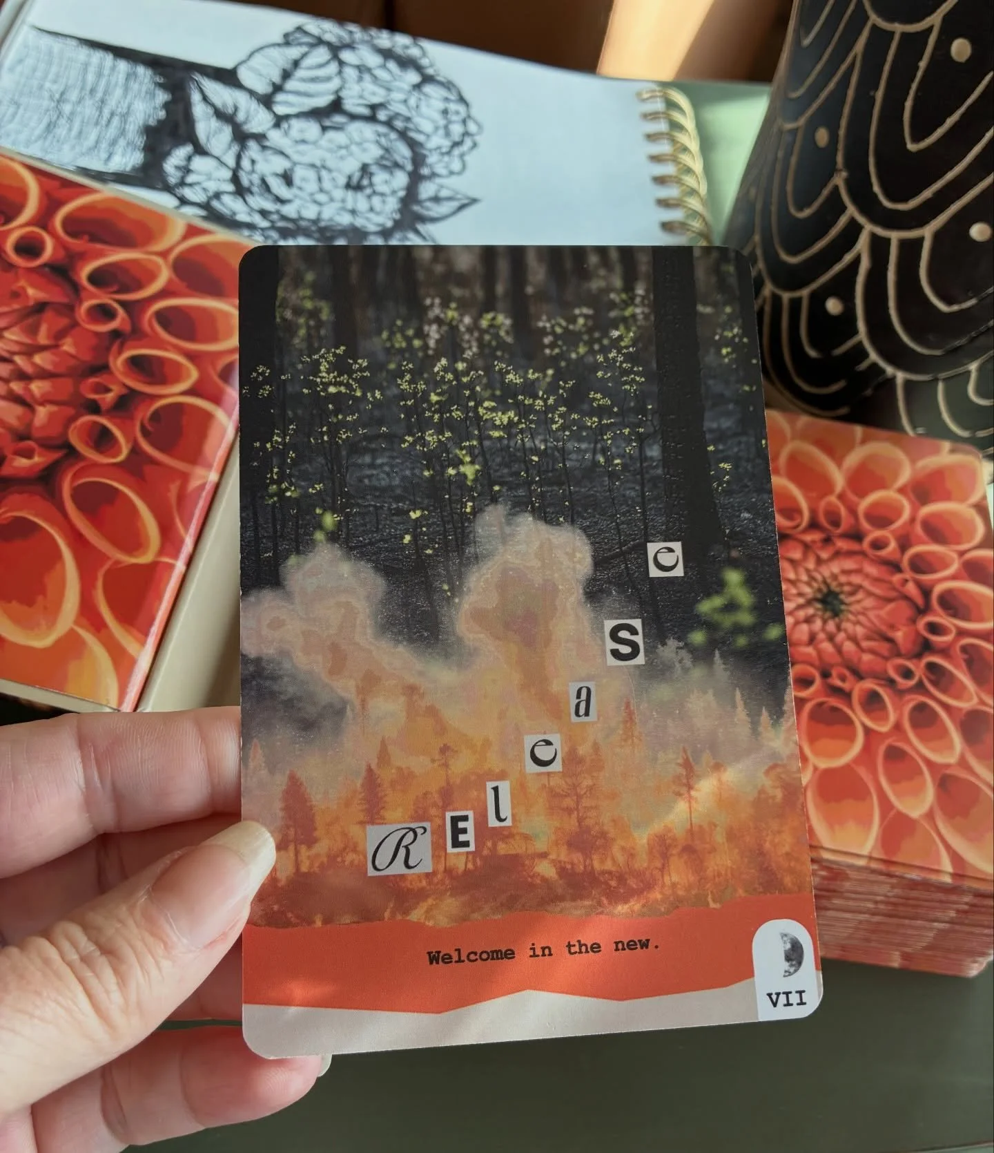 Today's card... Release.

When a fire sweeps through a forest, it seems rather destructive; but in reality, it burns away deadwood, enriches the soil, and creates space for fresh growth. Similarly, when we hold onto past losses, harsh judgments&mdash