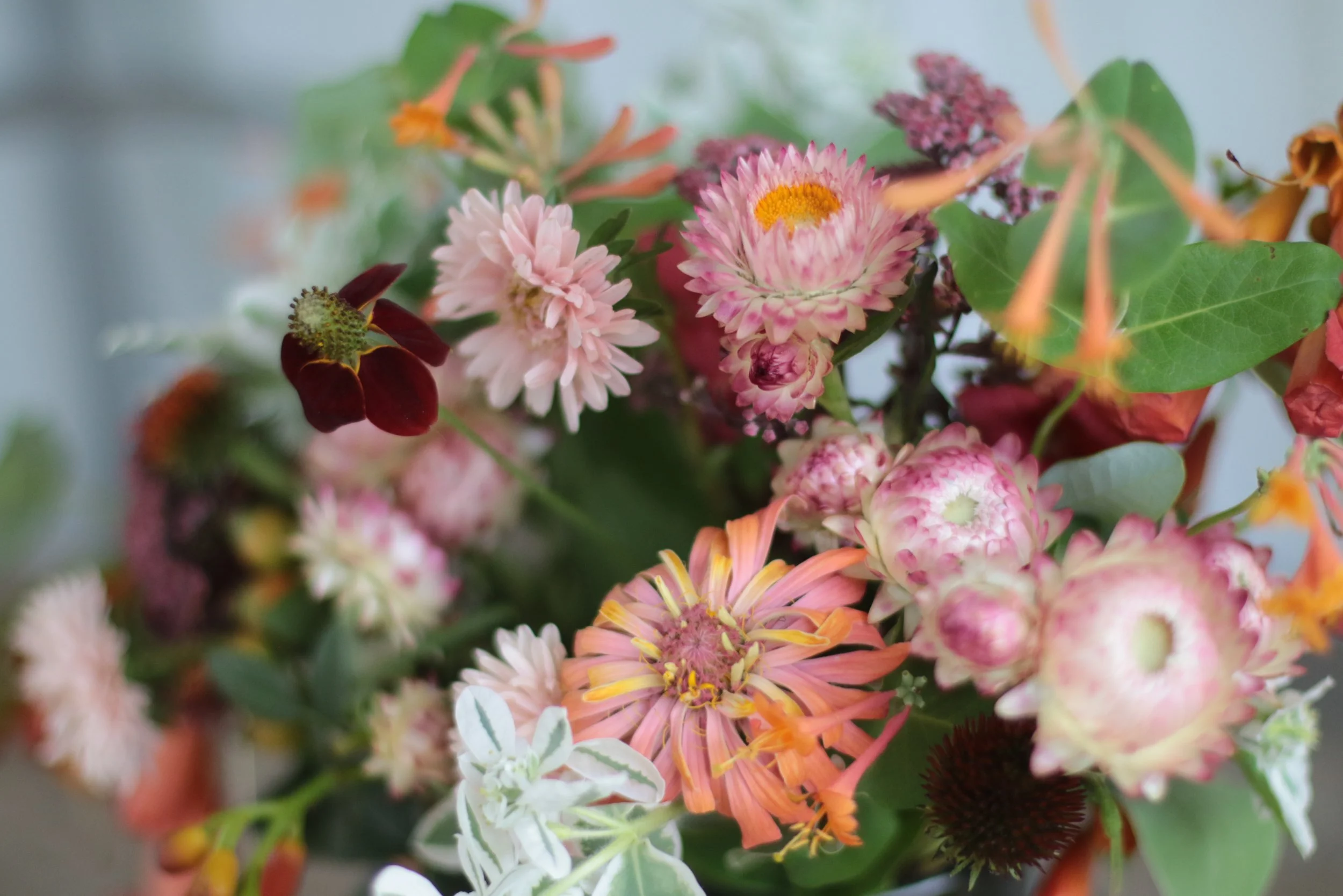 Flower Bar
