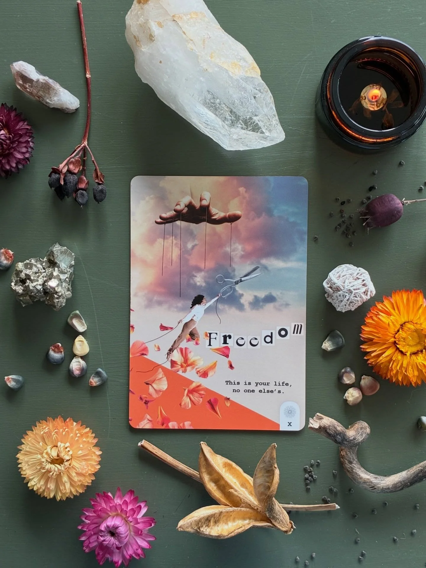 A little late to post for #nationalwomensday but this card strangely got lost and I had to wait for a new copy of my deck to see it again. May this card resonate with all my ladies out there. 🙌

Freedom is a birthright, intricately tied to our sense