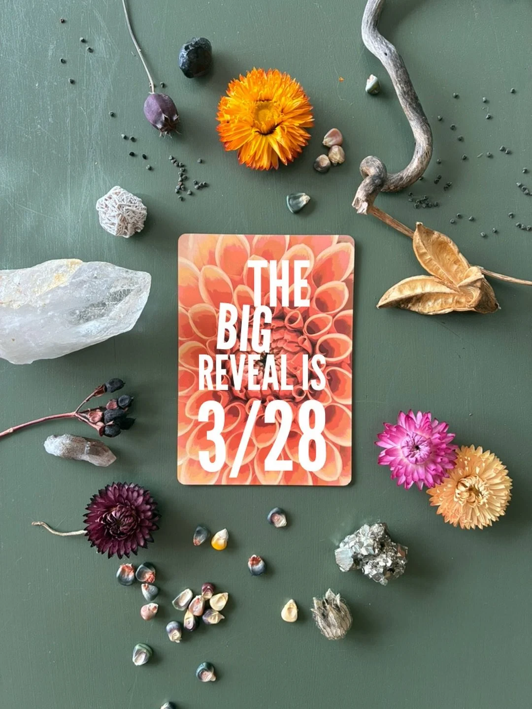 My new #kickstarterlaunch will be 3/28 with a pre-launch for all my favorite peeps on 3/18!!! Let's do this! 🌱🌻🌈⭐️🪺

#oracledeck #neworacledeck #neworaclecards #selfreflectionpractice