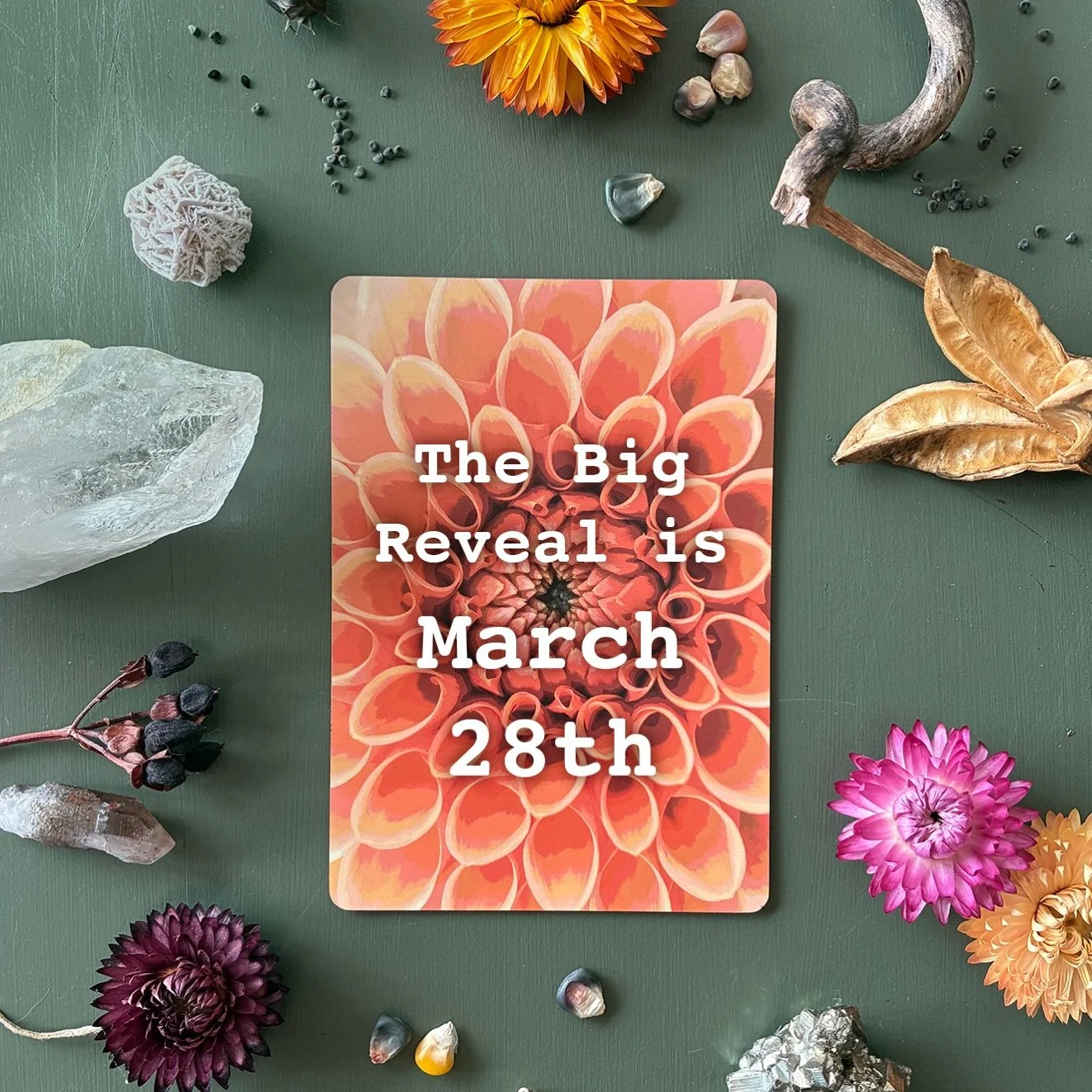 We're officially in pre-launch! Please follow the #kickstartercampaign to be notified on the launch March 28th! Link in bio 💫

#neworacledeck #oracledeck #ahaoracle #bloomingoracle