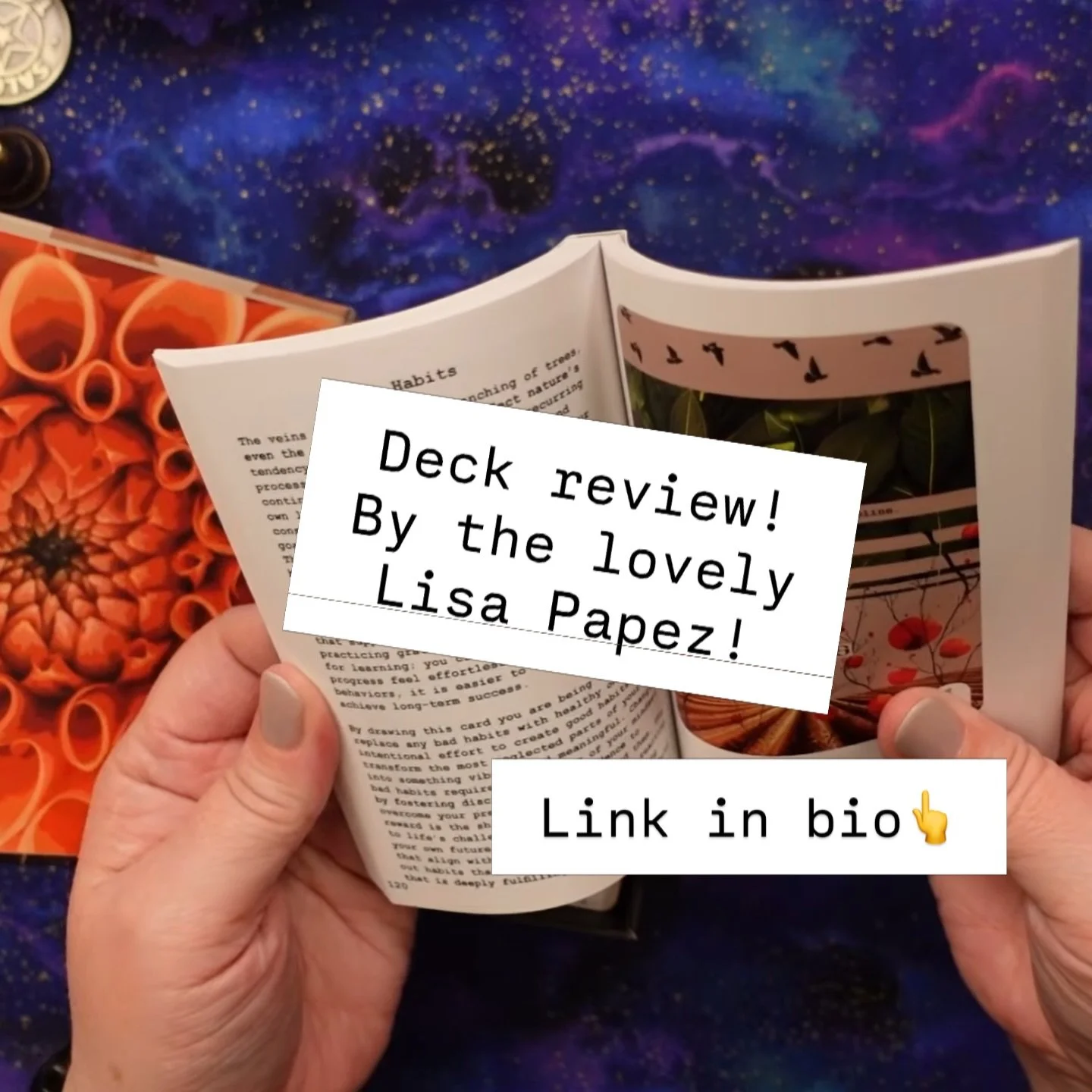 I'm so honored to be in this month's roundup with @lisapapez 🥰 Check it out! This deck review starts at 21:00 
Link in bio!

#neworacle #neworacledeck #oraclecards #oraclecommunity #oraclenetwork