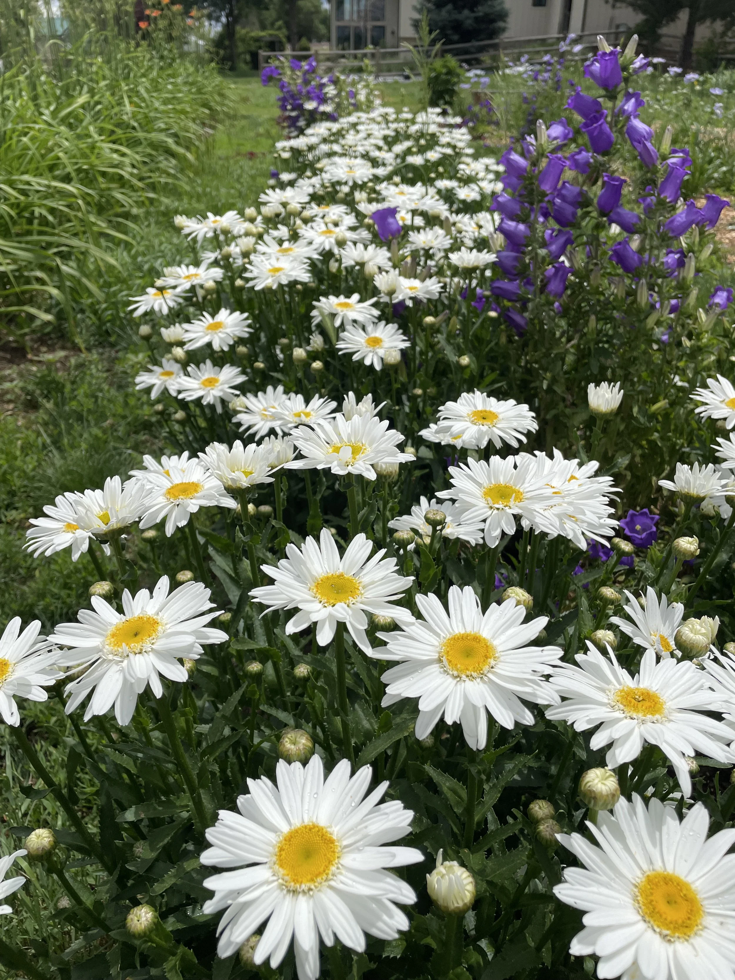 IMG_3561.jpeg