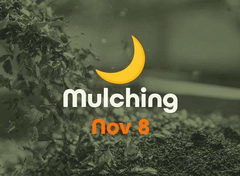 08-mulching2.jpg