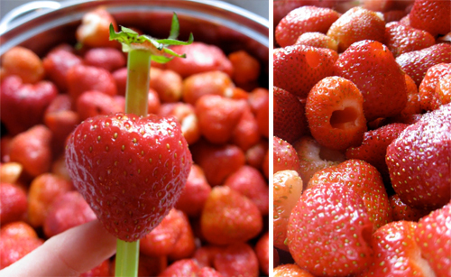 Food_HullingStrawberries.jpg