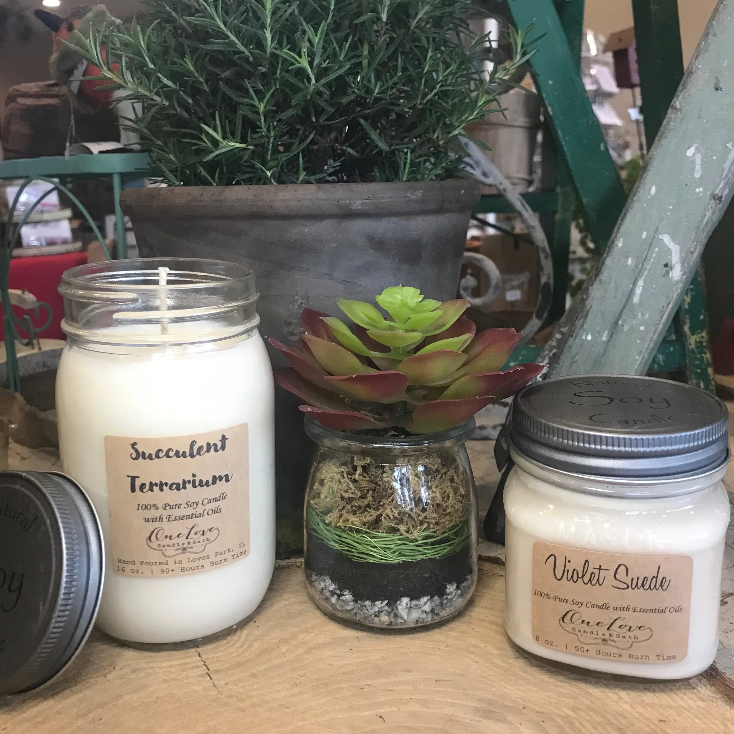 03475FAC-BC1E-4E8B-A576-586D599A5167