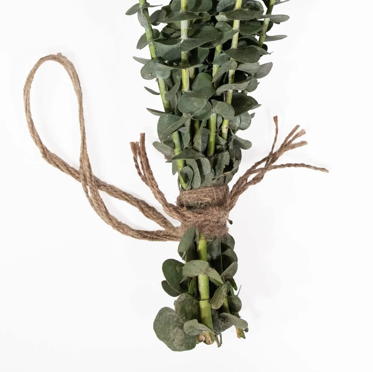 395D1077-7EB2-48C3-8539-07EF7AFC1139