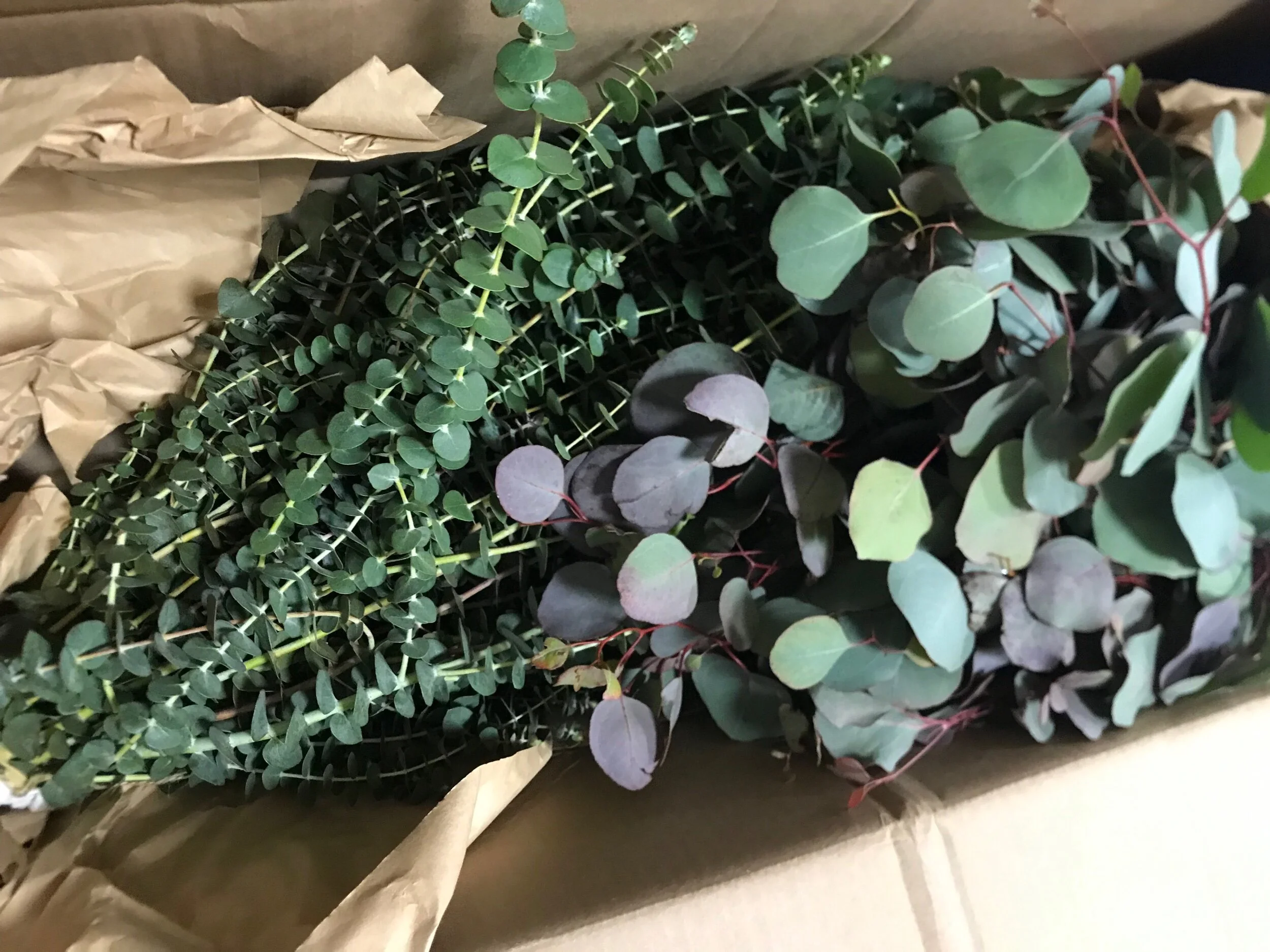 12F8DC94-1E38-466F-A0FC-2BACFF35AD1E