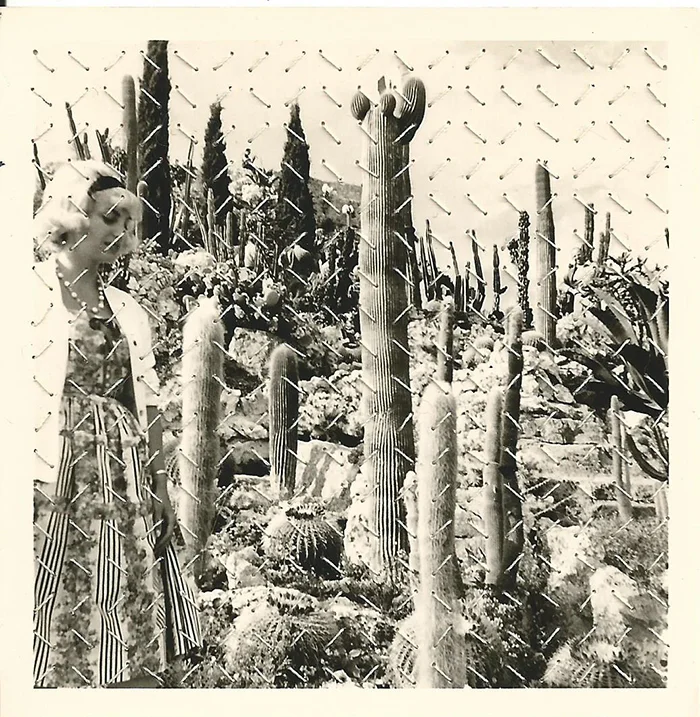 33