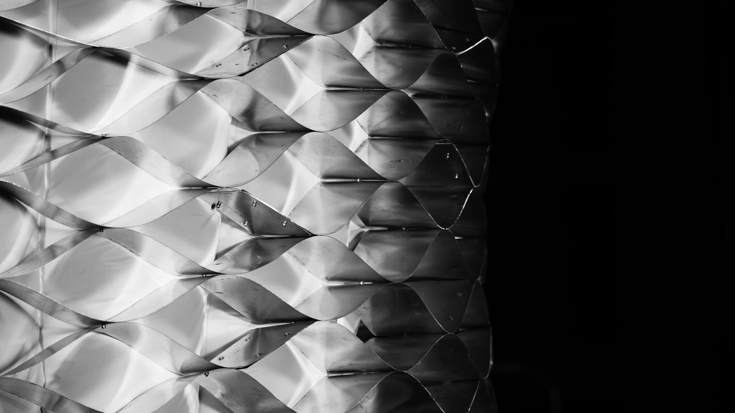 close up perspective - black_white - angled view from center to edge.jpg