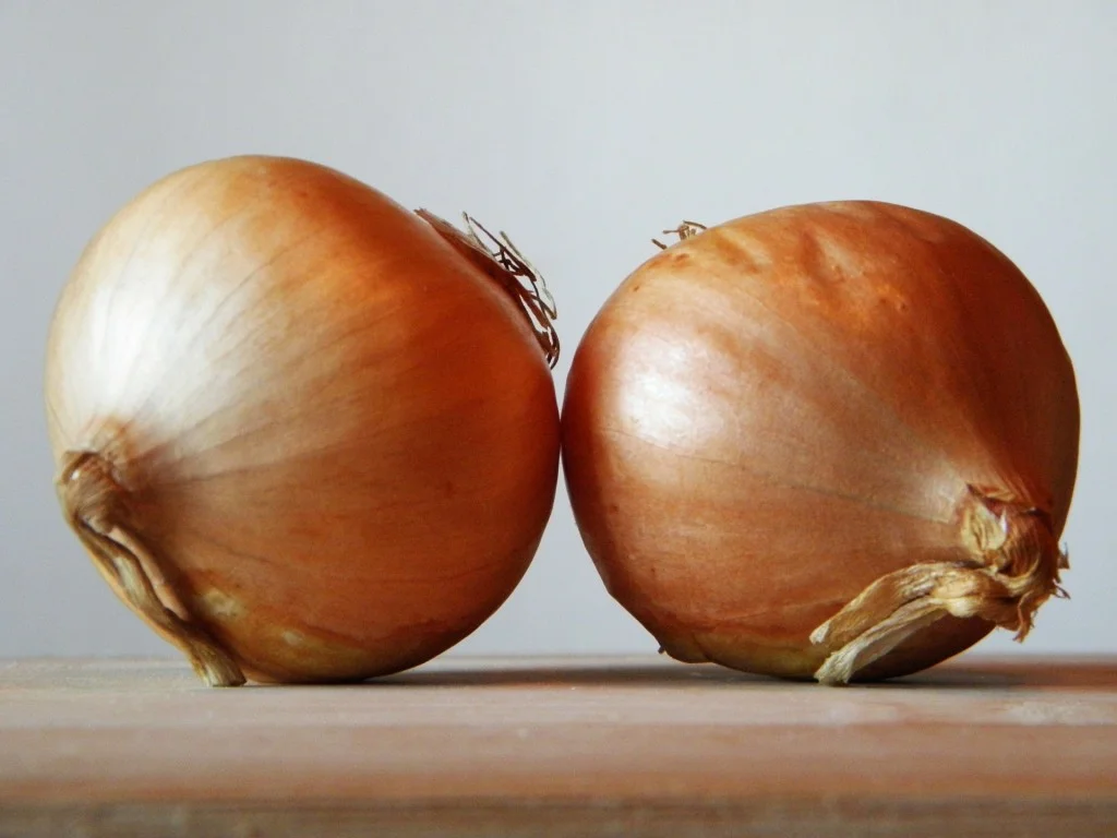 onions image.jpg