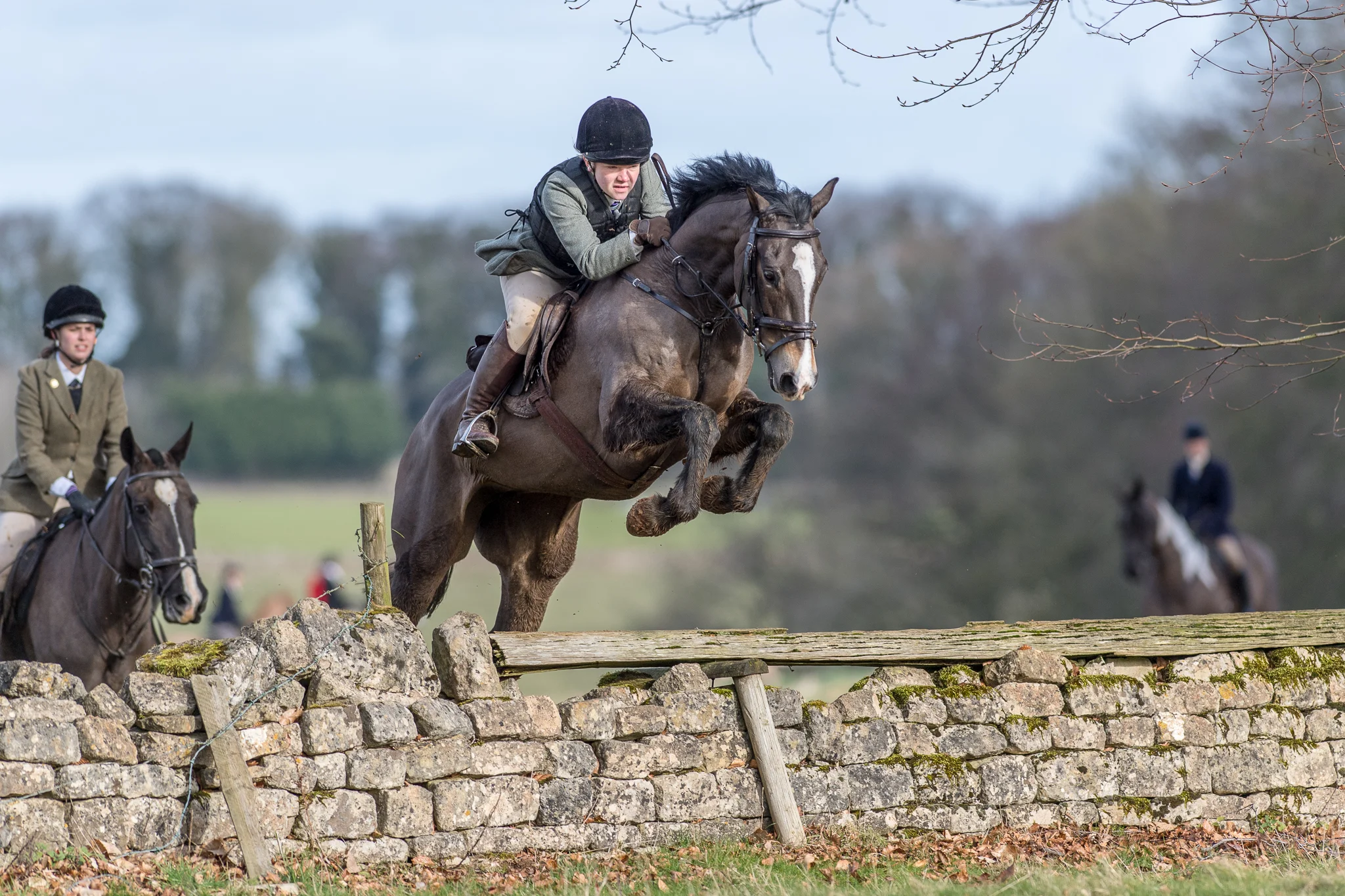 Carey_February 12, 2018_DSC_3926.jpg