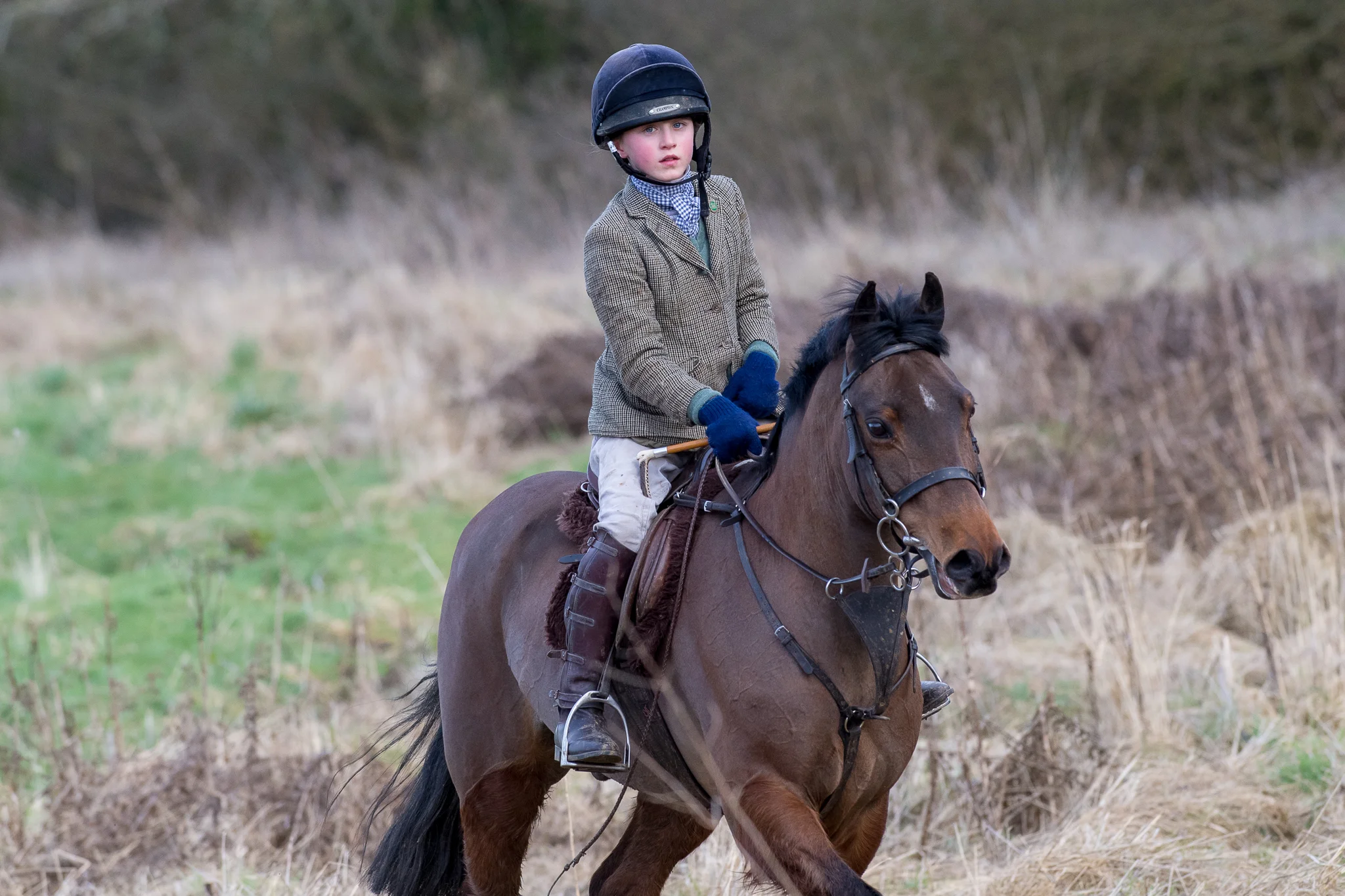 Carey_February 12, 2018_DSC_4009.jpg