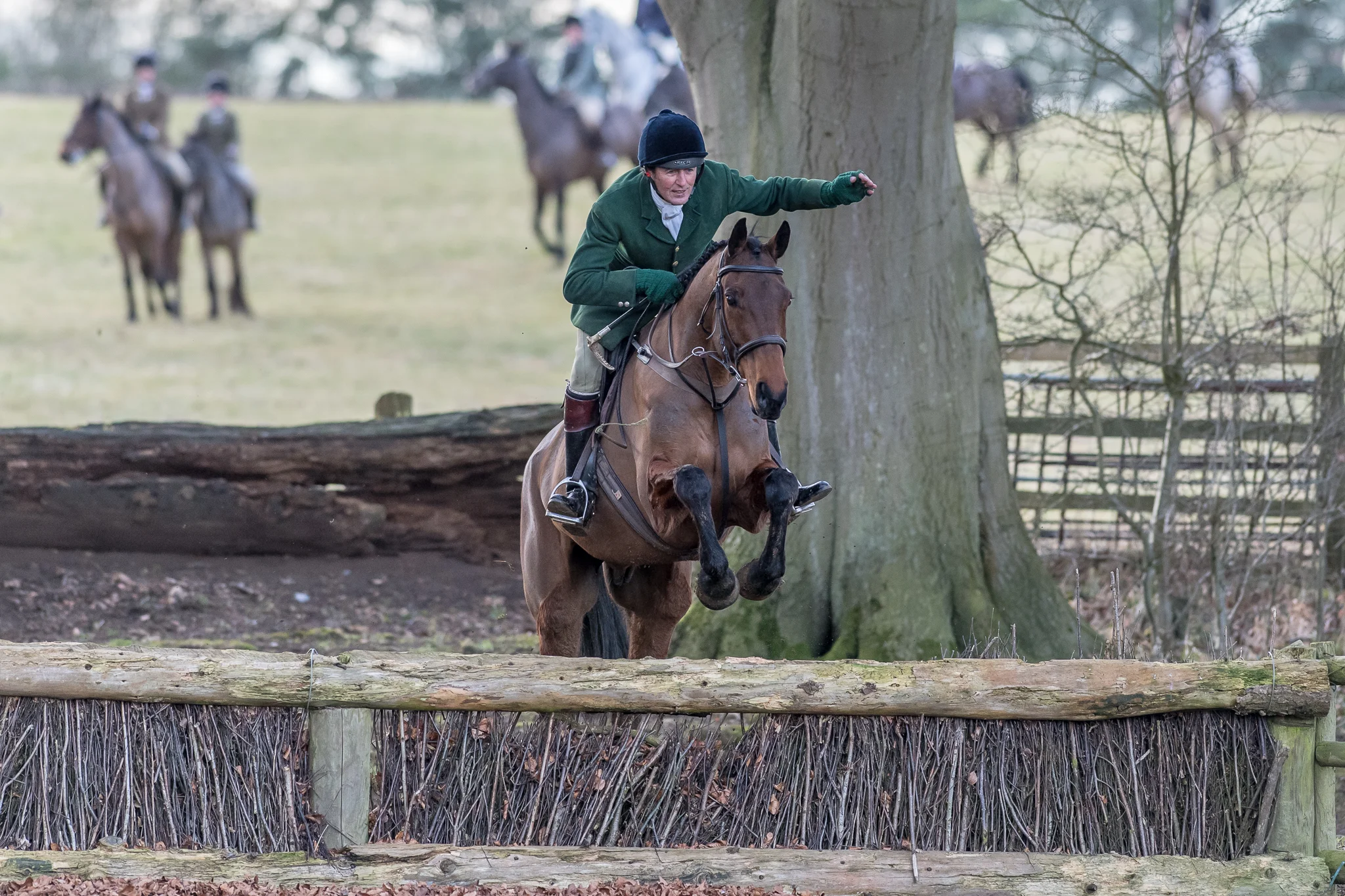 Carey_February 12, 2018_DSC_4057.jpg