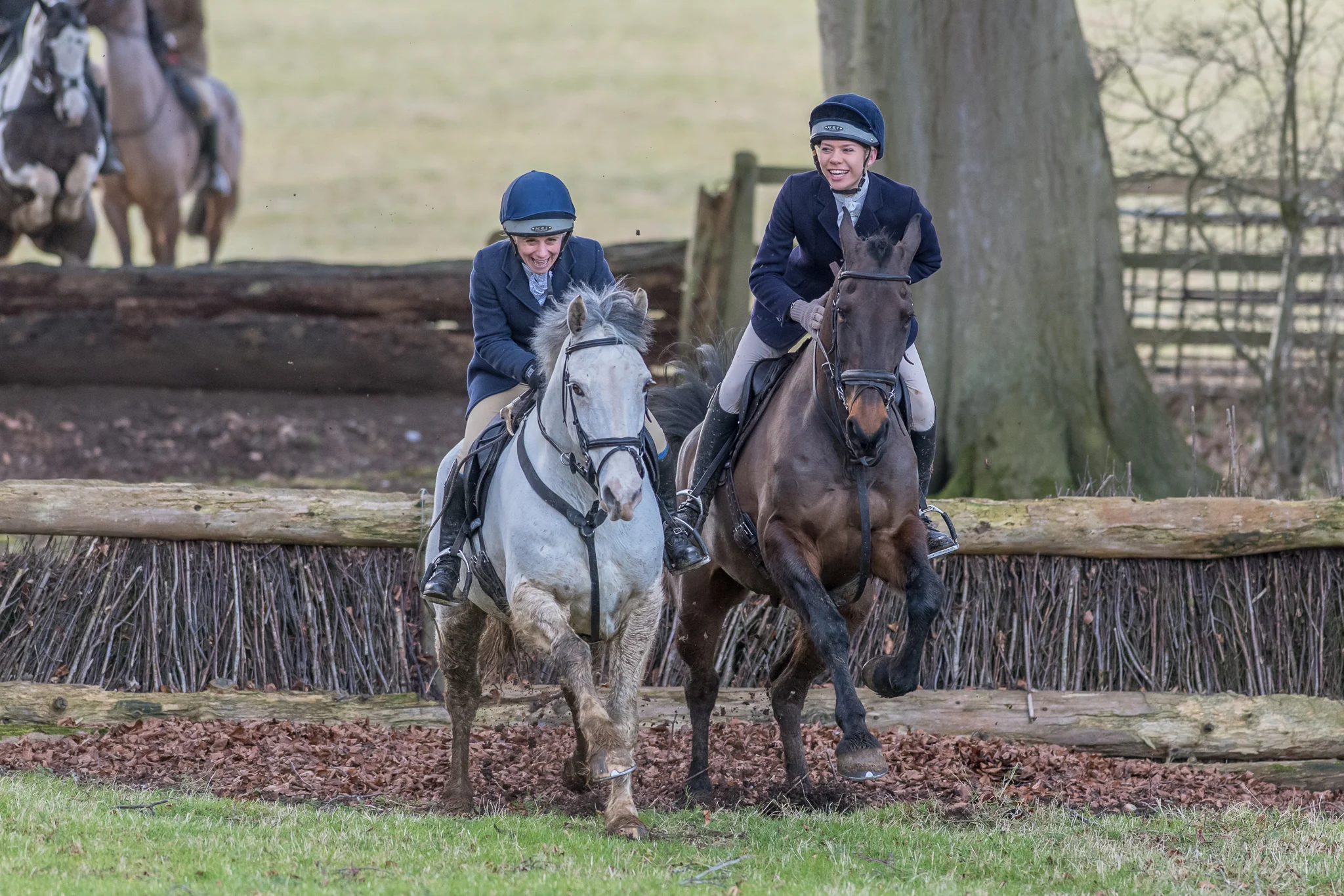 Carey_February 12, 2018_DSC_4119.jpg