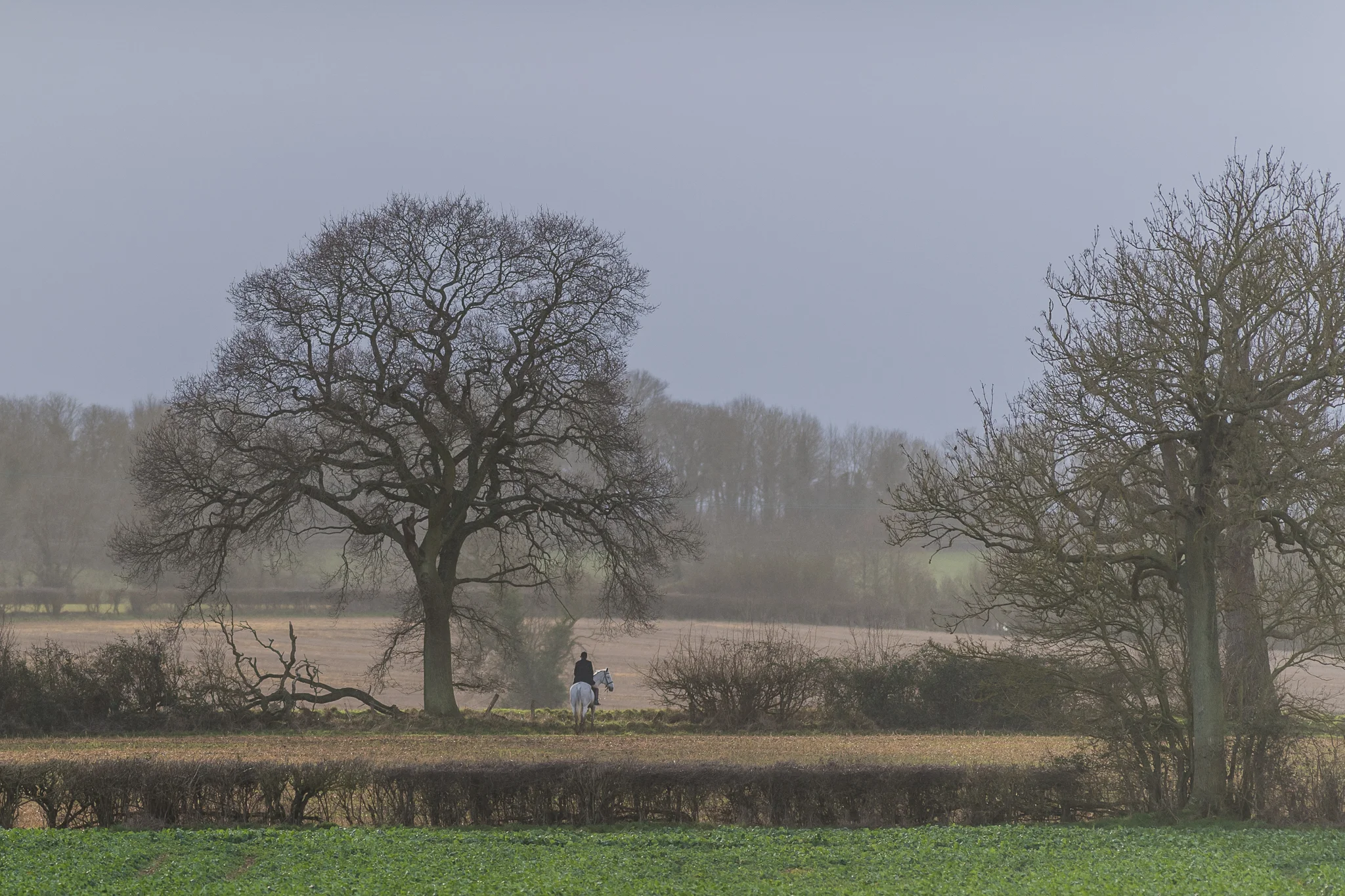 Carey_January 16, 2018_DSC_0670.jpg