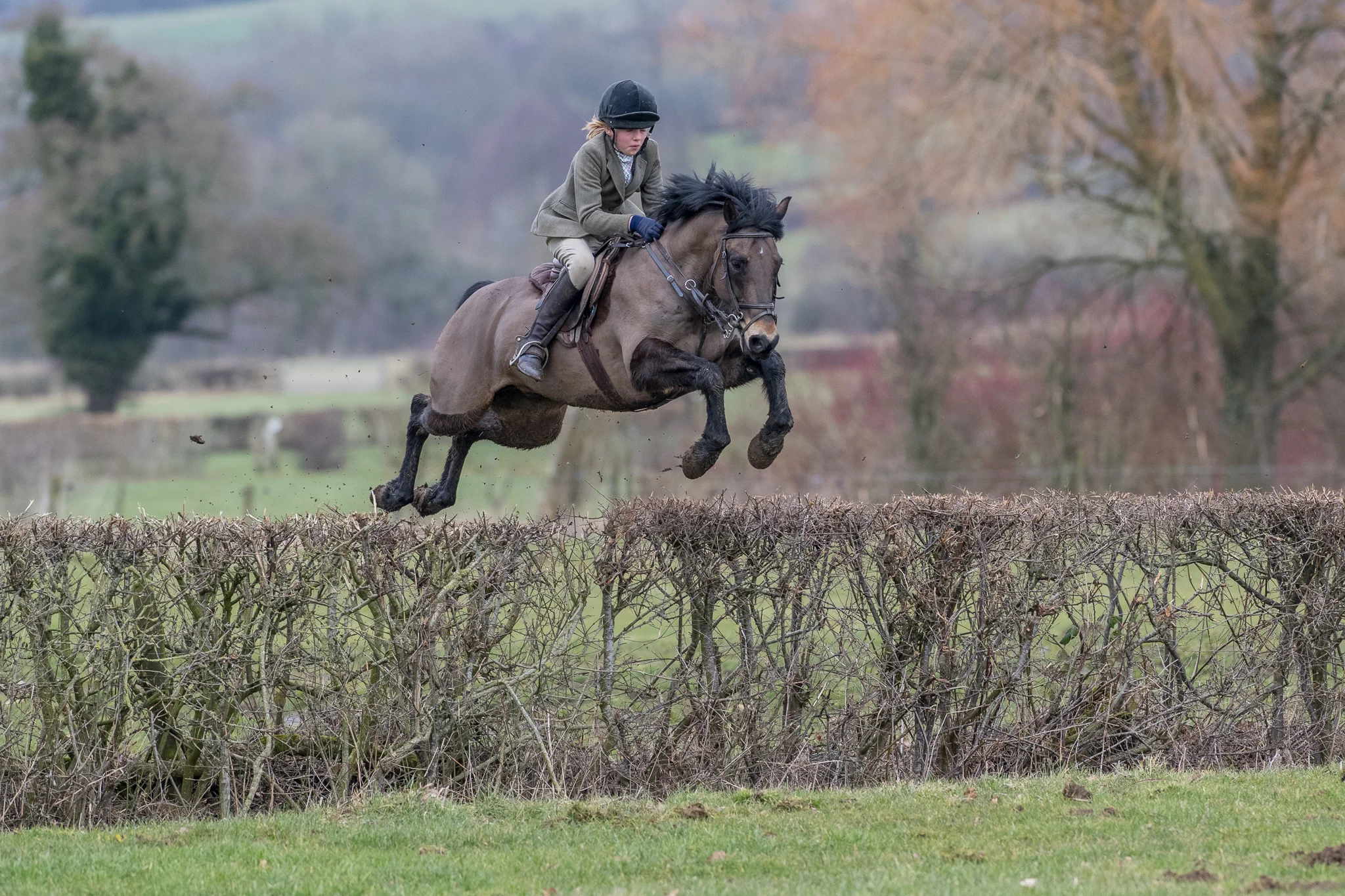 Carey_February 17, 2018_DSC_5961-2.JPG