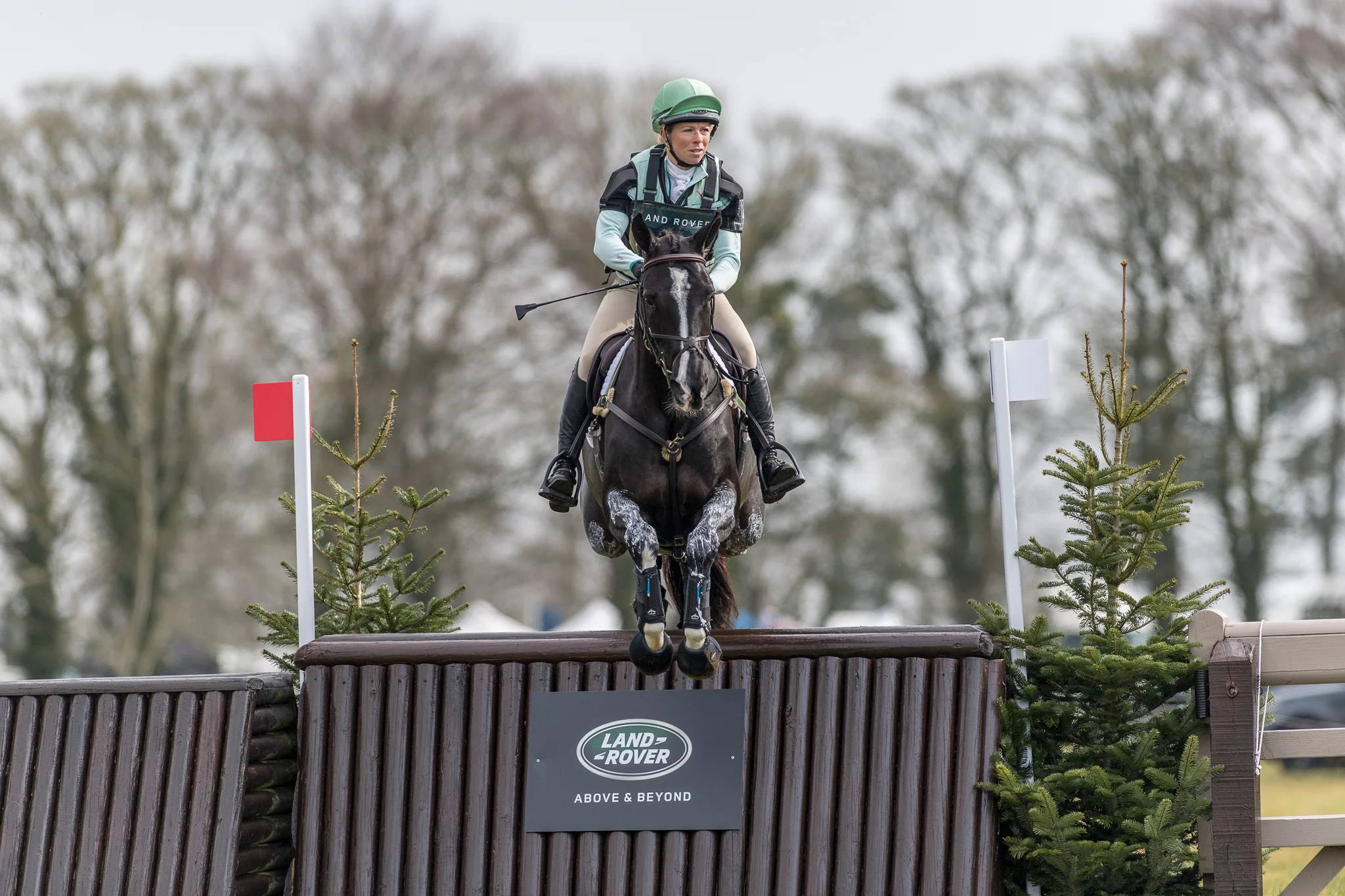 Carey_March 25, 2018_DSC_0674.JPG