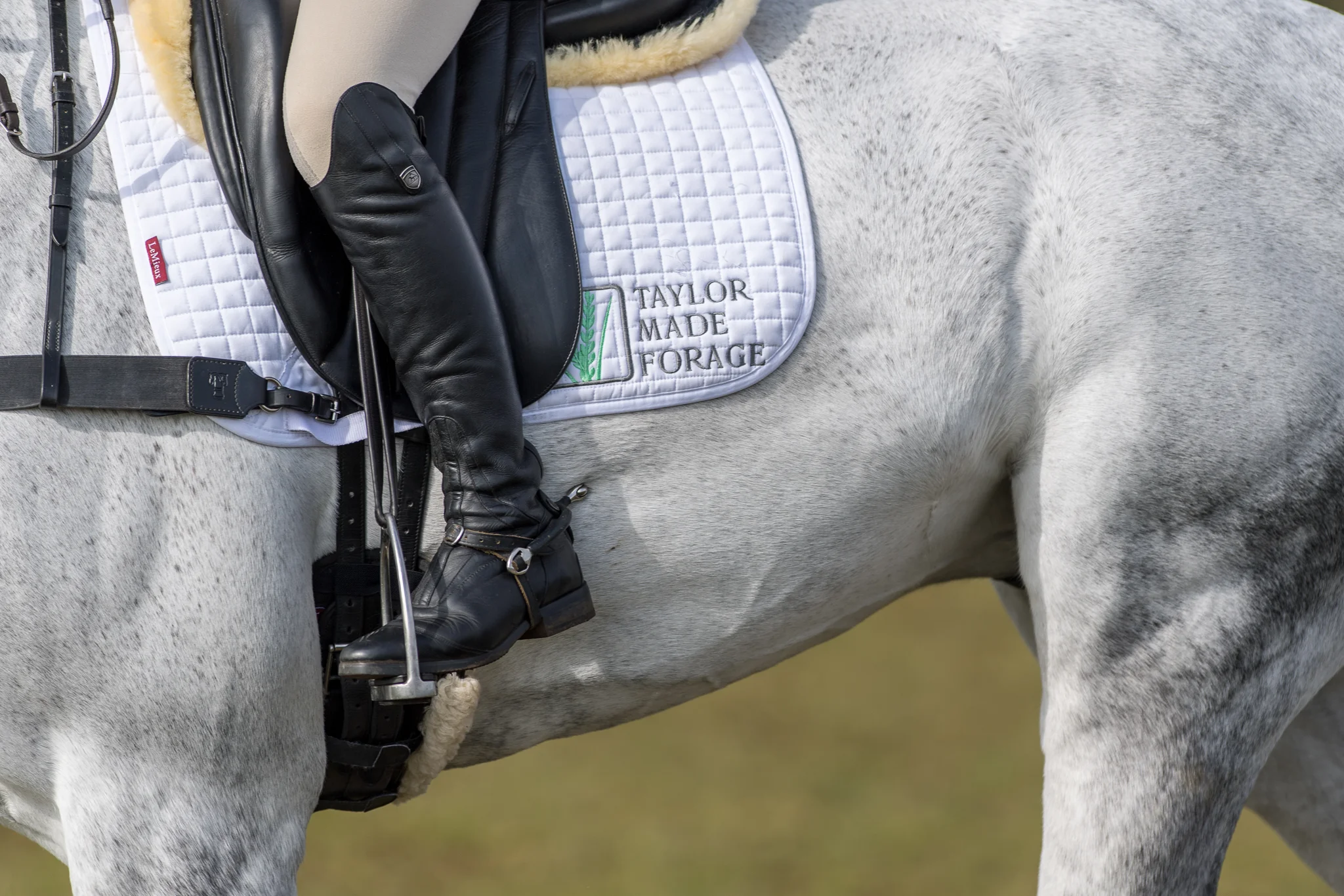 Carey_March 25, 2018_DSC_0773.JPG