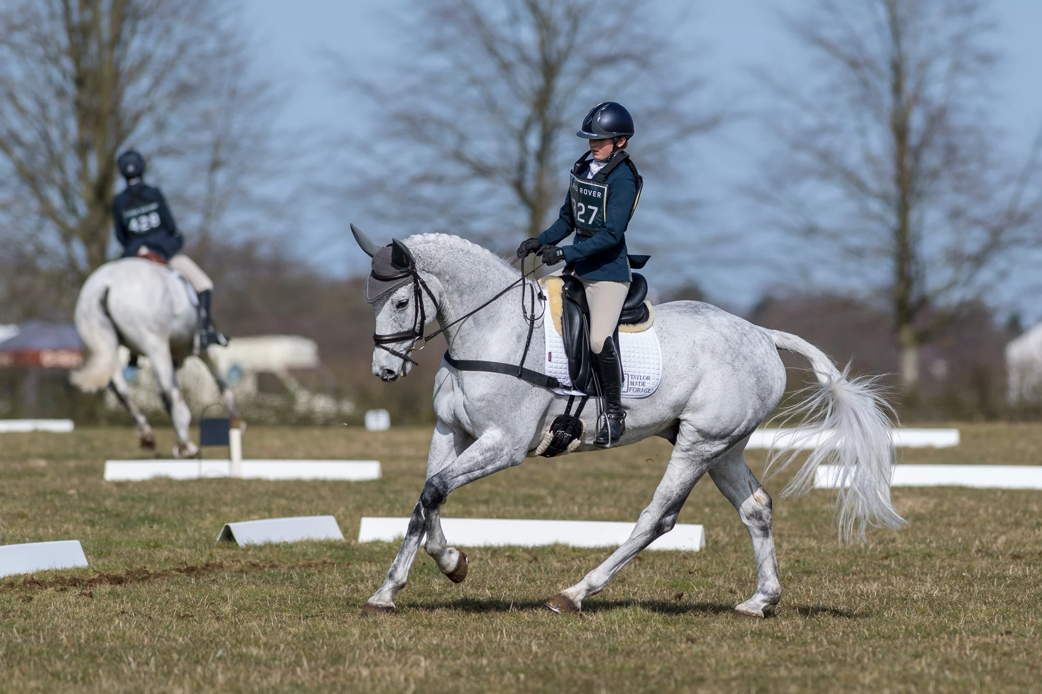 Carey_March 25, 2018_DSC_0867.JPG