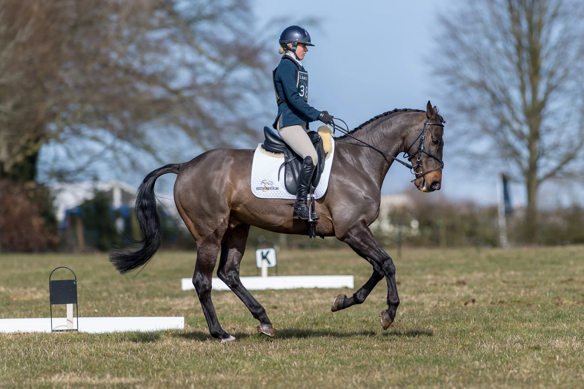 Carey_March 25, 2018_DSC_0951.JPG