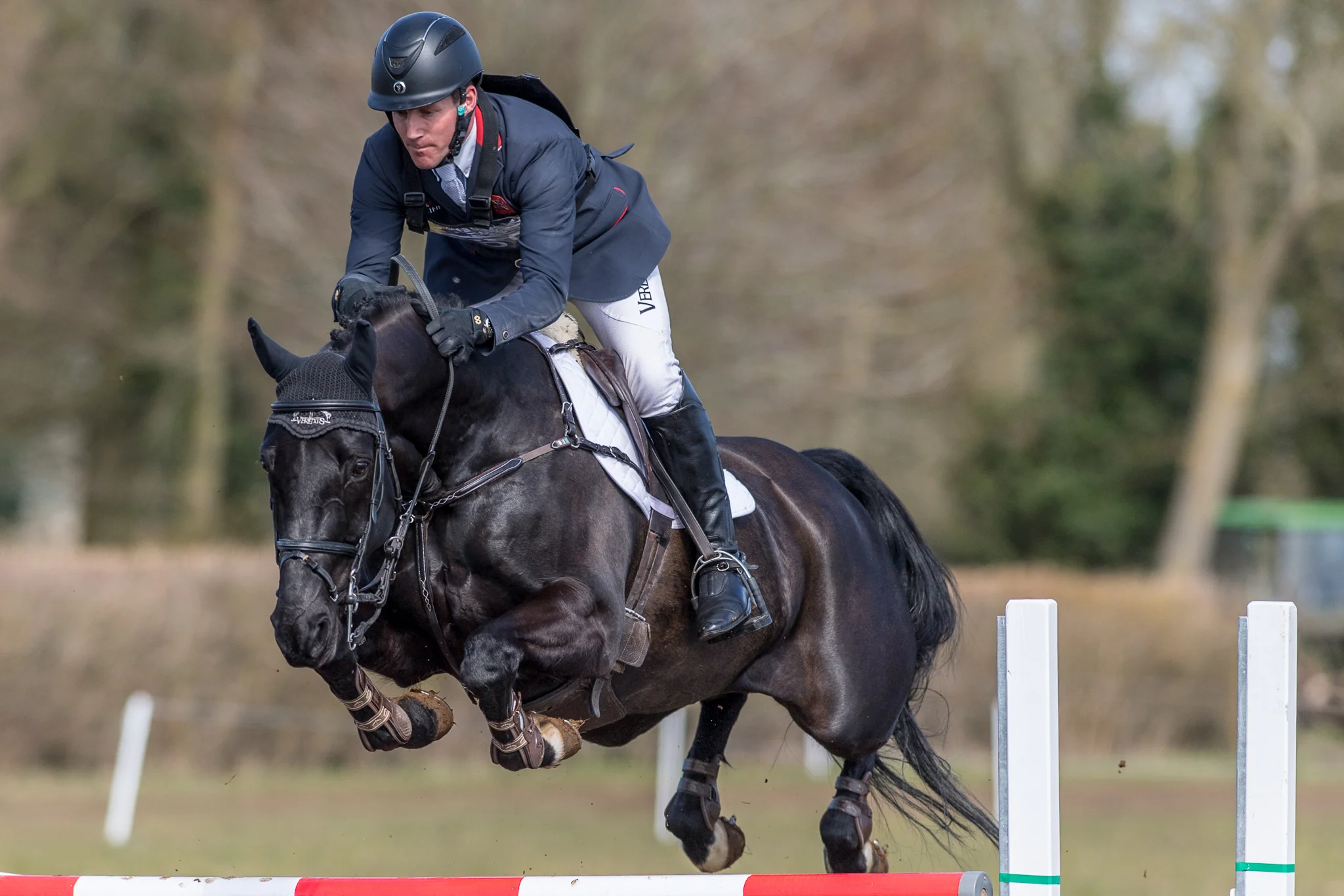 Carey_March 25, 2018_DSC_1050.JPG