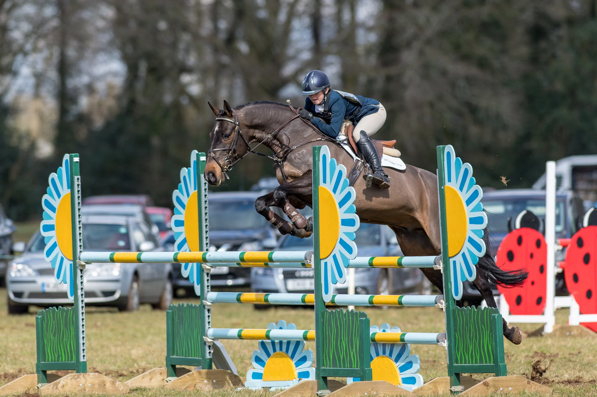 Carey_March 25, 2018_DSC_1158.JPG