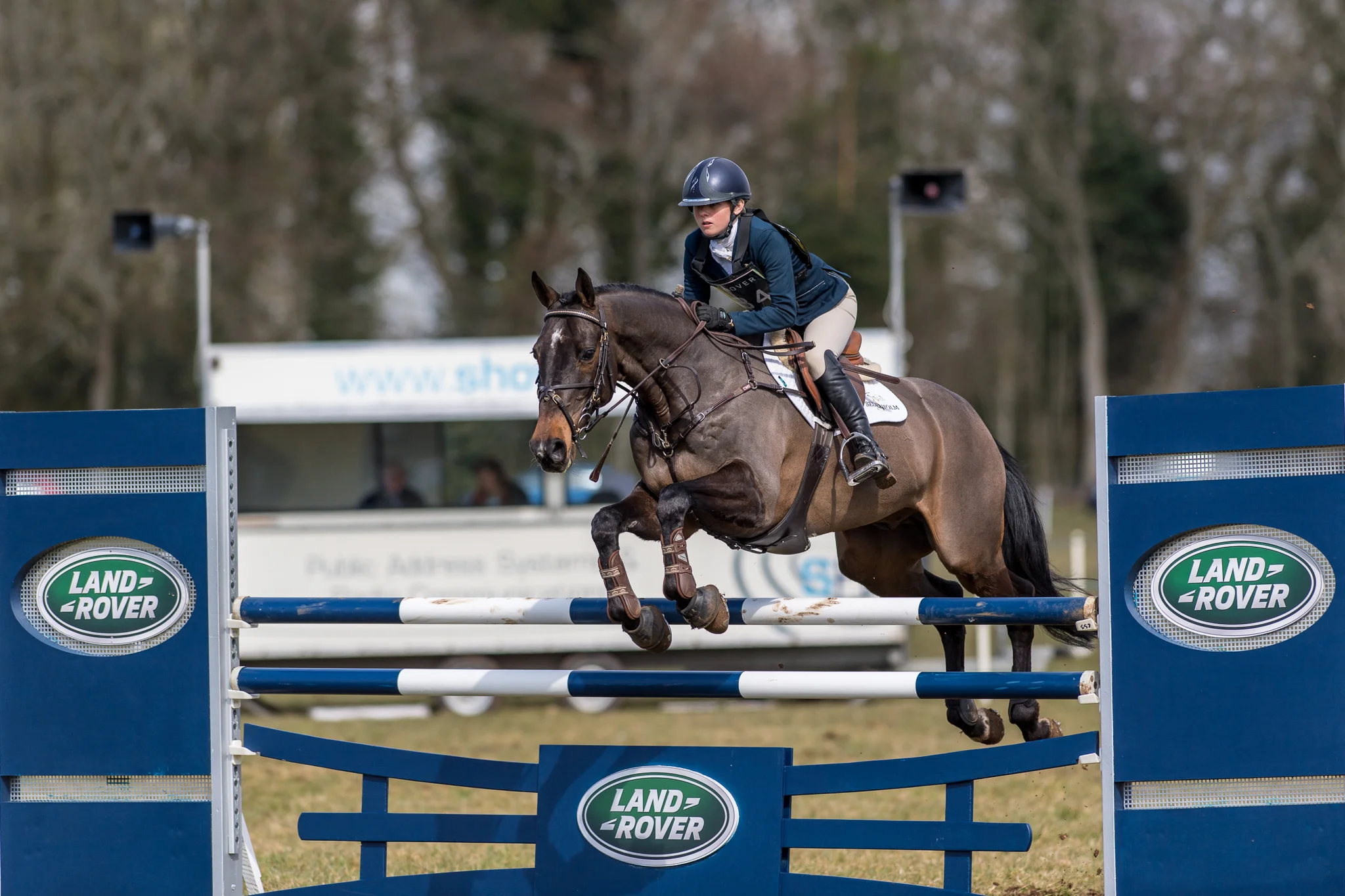 Carey_March 25, 2018_DSC_1174.JPG
