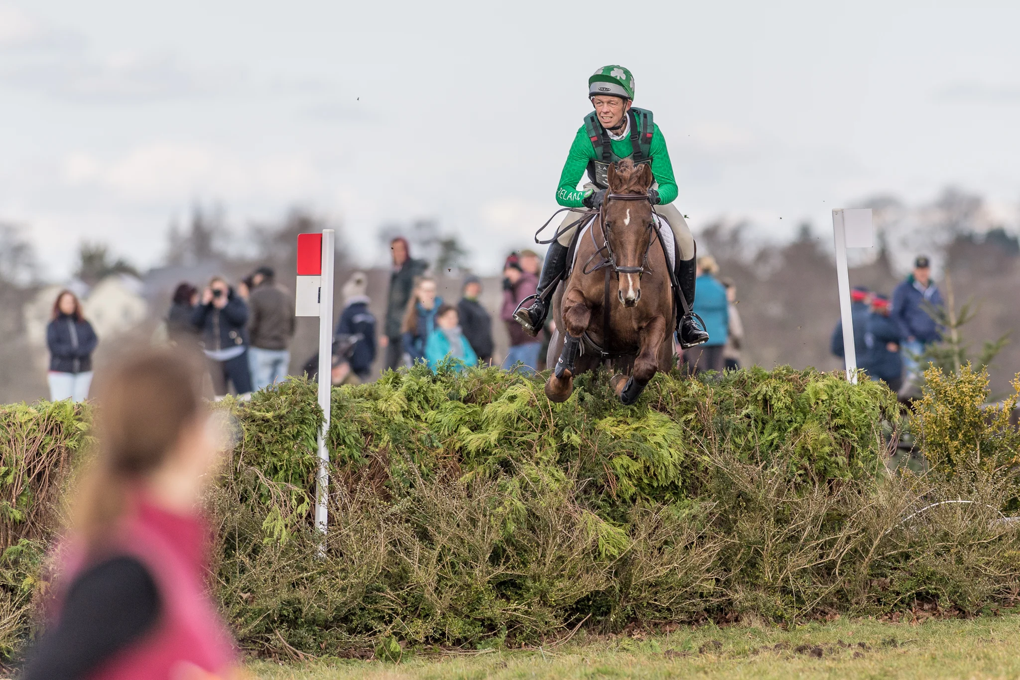 Carey_March 25, 2018_DSC_1274.JPG