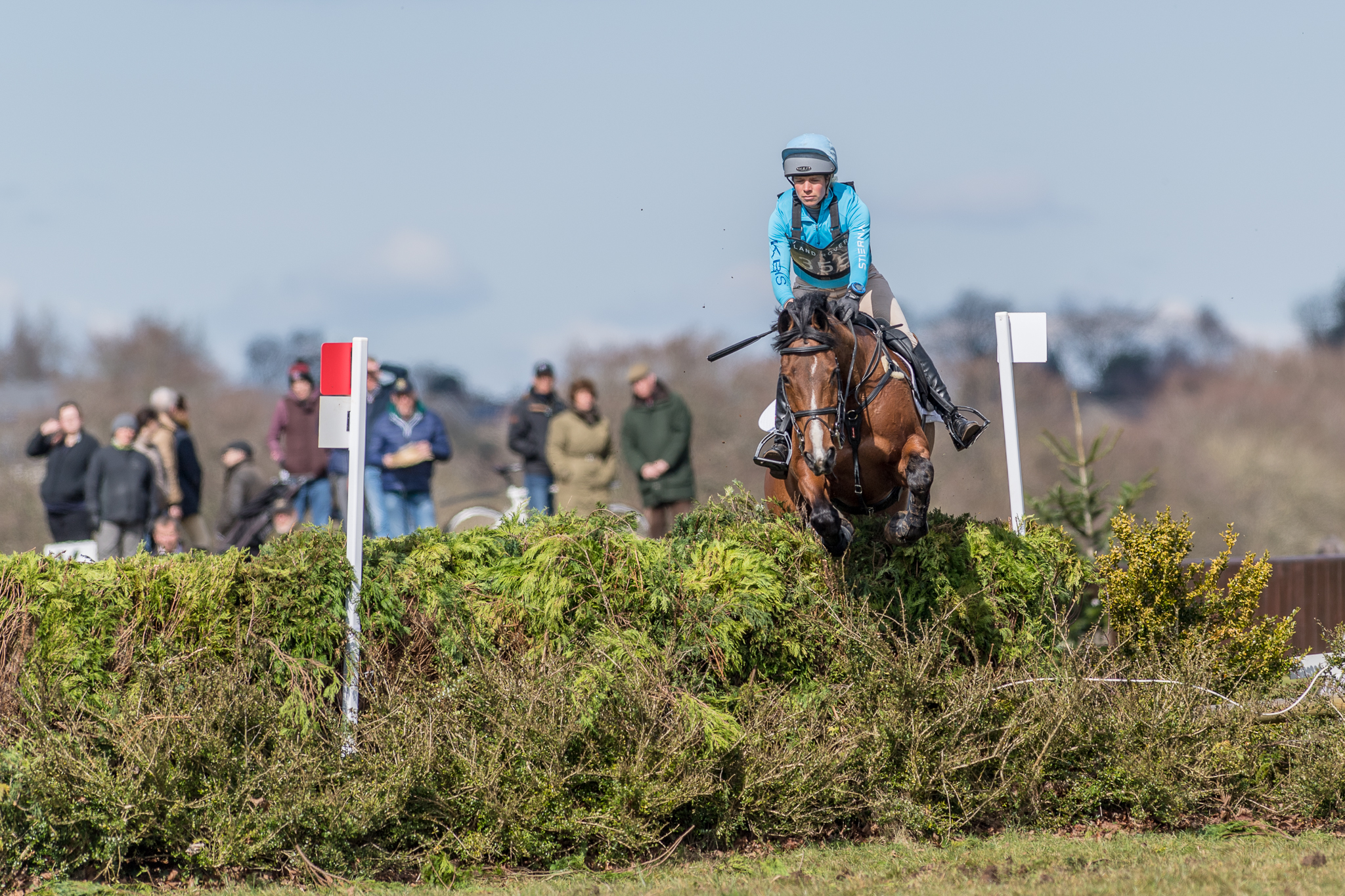 Carey_March 25, 2018_DSC_1212.JPG