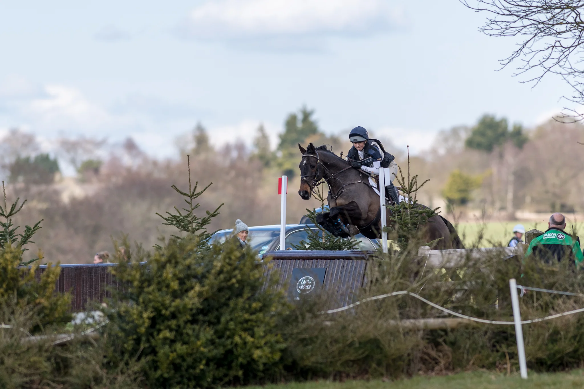 Carey_March 25, 2018_DSC_1297.JPG